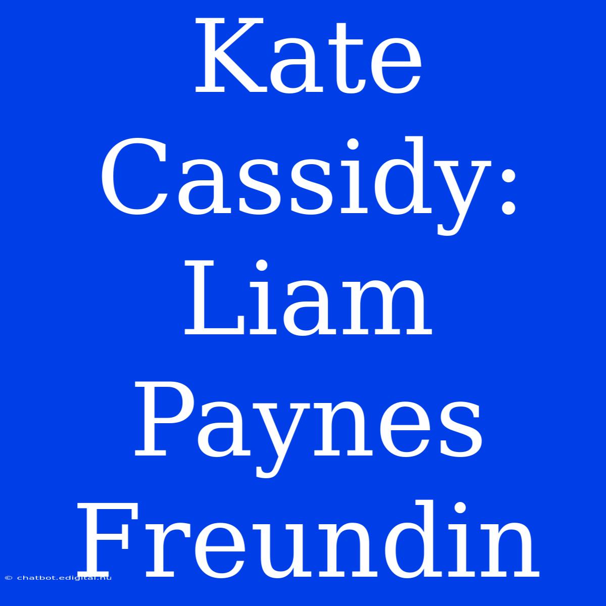 Kate Cassidy: Liam Paynes Freundin