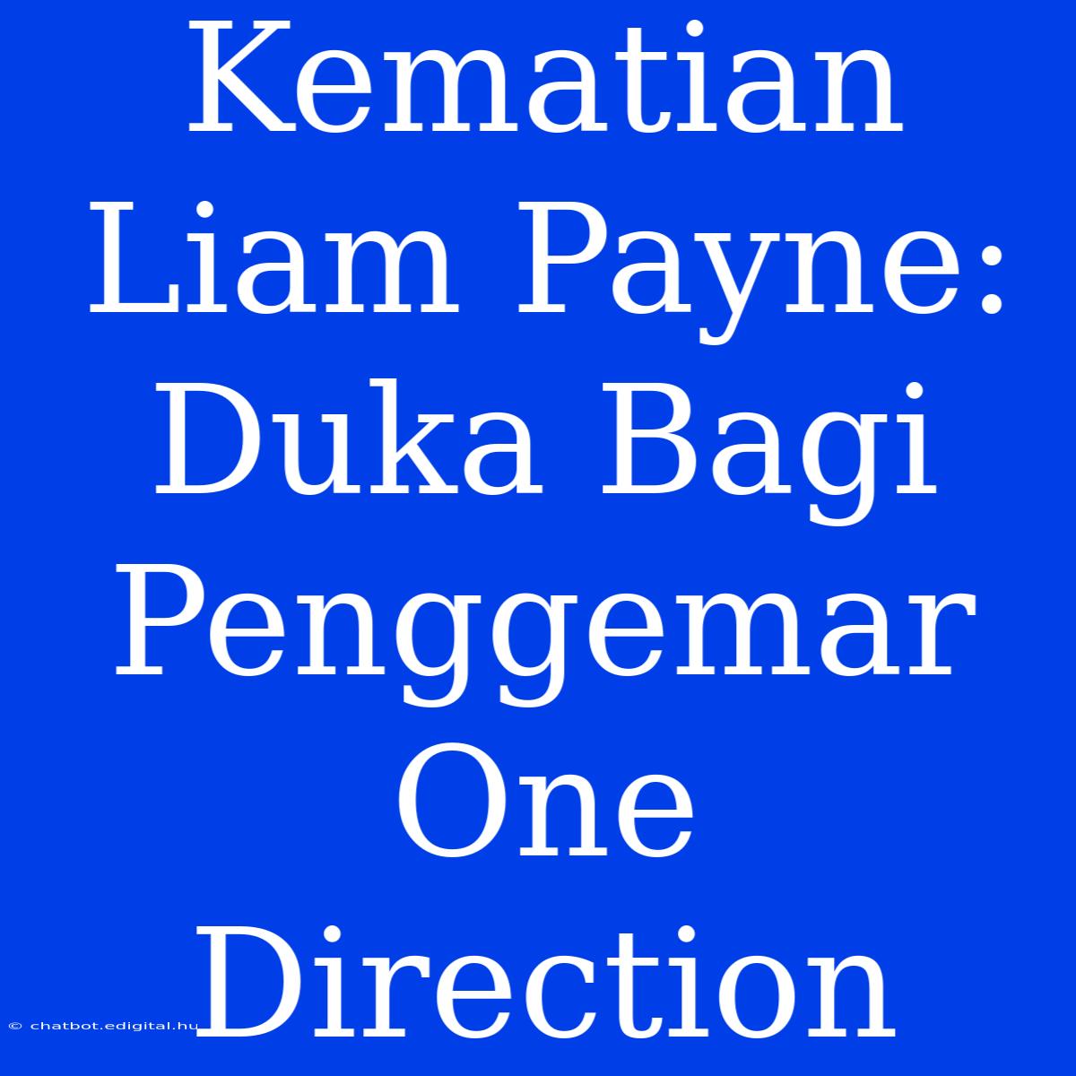 Kematian Liam Payne: Duka Bagi Penggemar One Direction