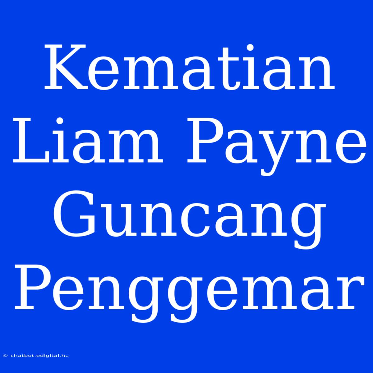 Kematian Liam Payne Guncang Penggemar