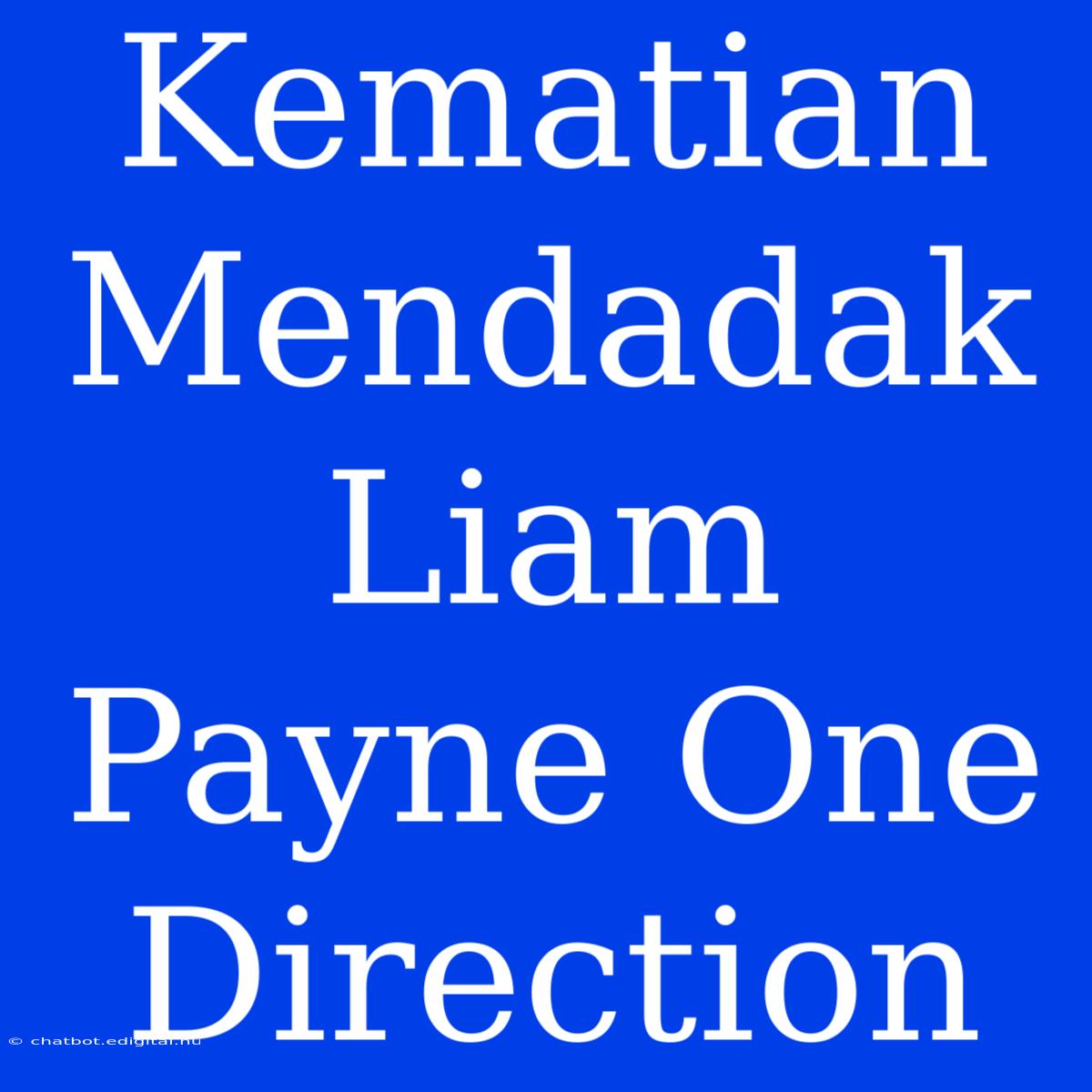 Kematian Mendadak Liam Payne One Direction