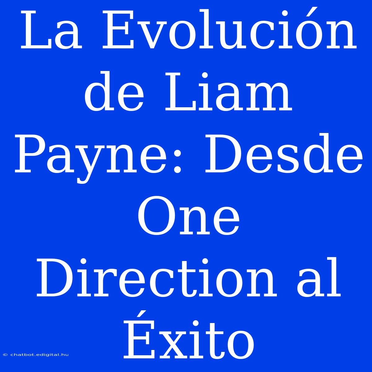 La Evolución De Liam Payne: Desde One Direction Al Éxito