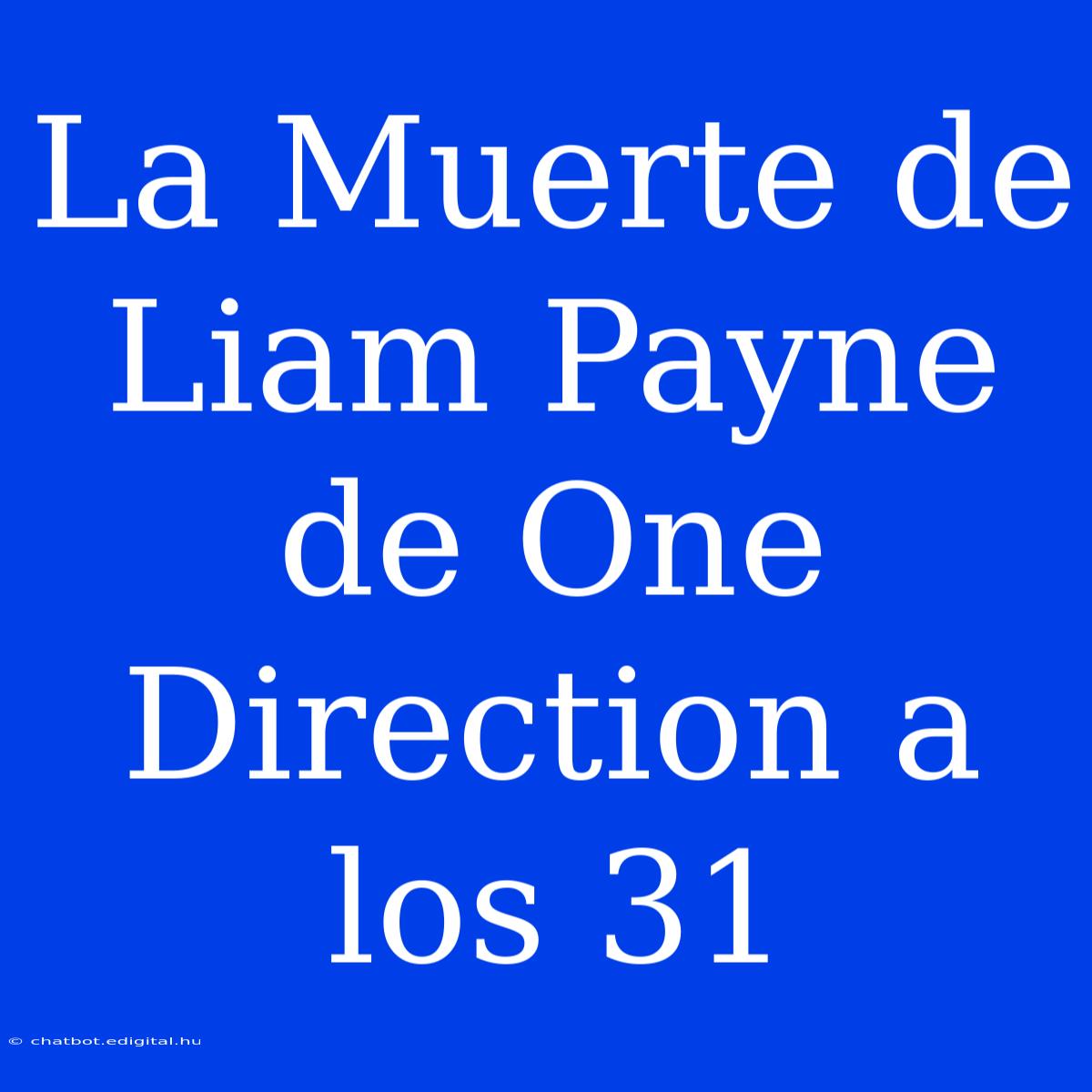 La Muerte De Liam Payne De One Direction A Los 31