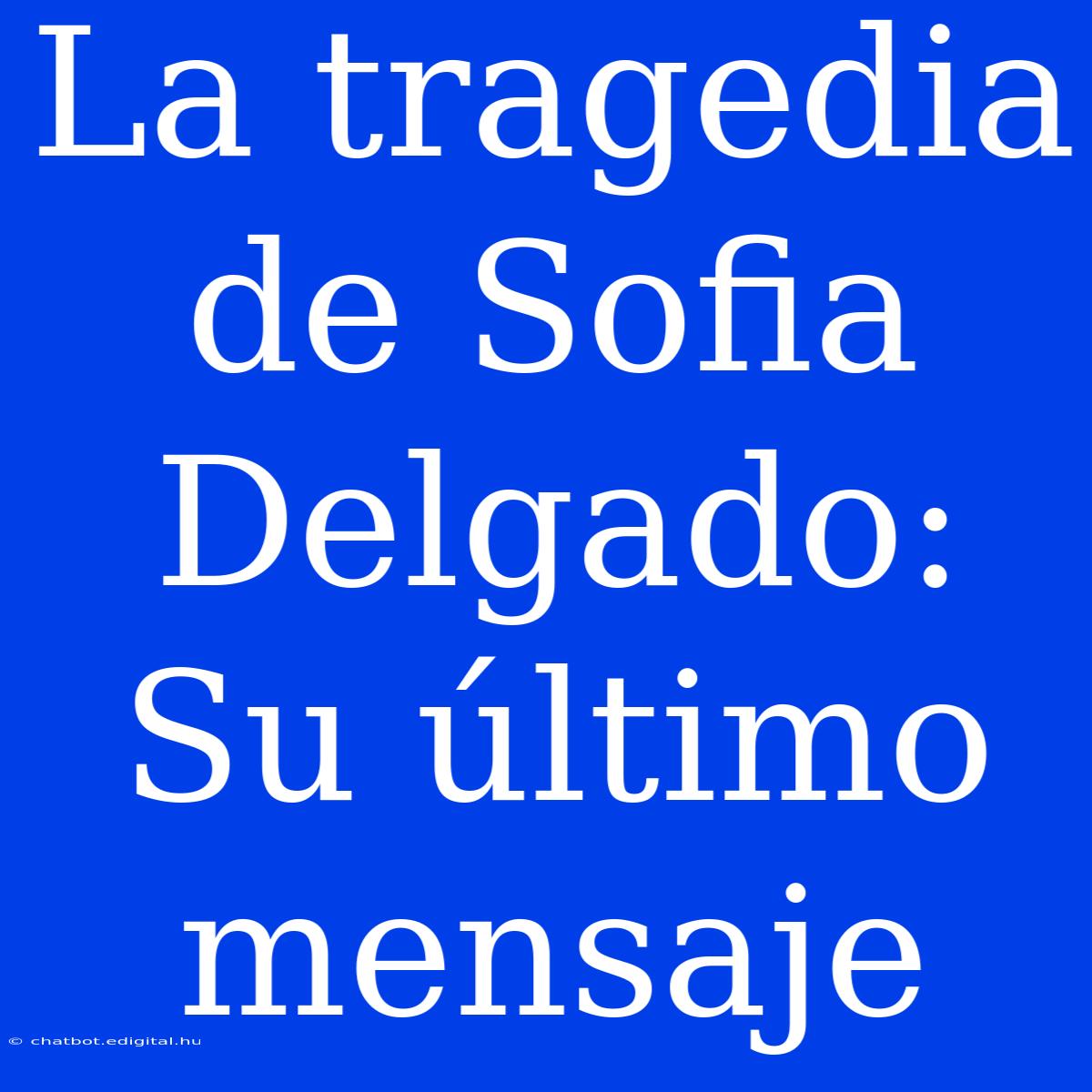 La Tragedia De Sofia Delgado: Su Último Mensaje