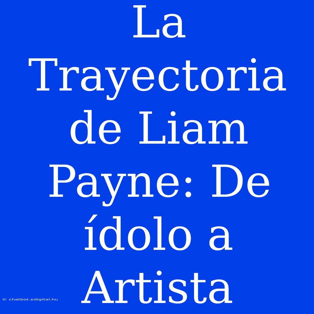 La Trayectoria De Liam Payne: De Ídolo A Artista