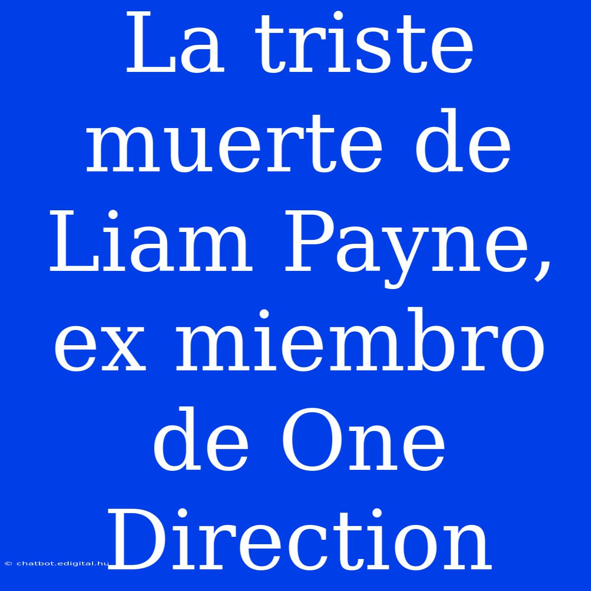 La Triste Muerte De Liam Payne, Ex Miembro De One Direction