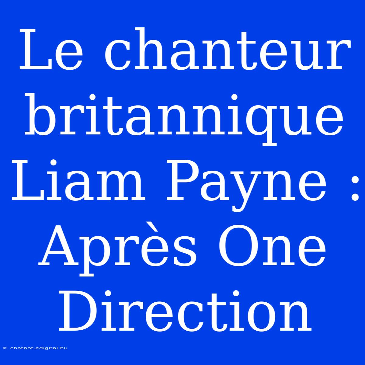 Le Chanteur Britannique Liam Payne : Après One Direction