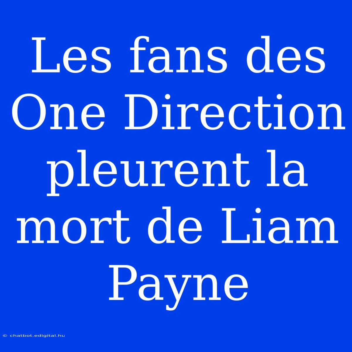 Les Fans Des One Direction Pleurent La Mort De Liam Payne 