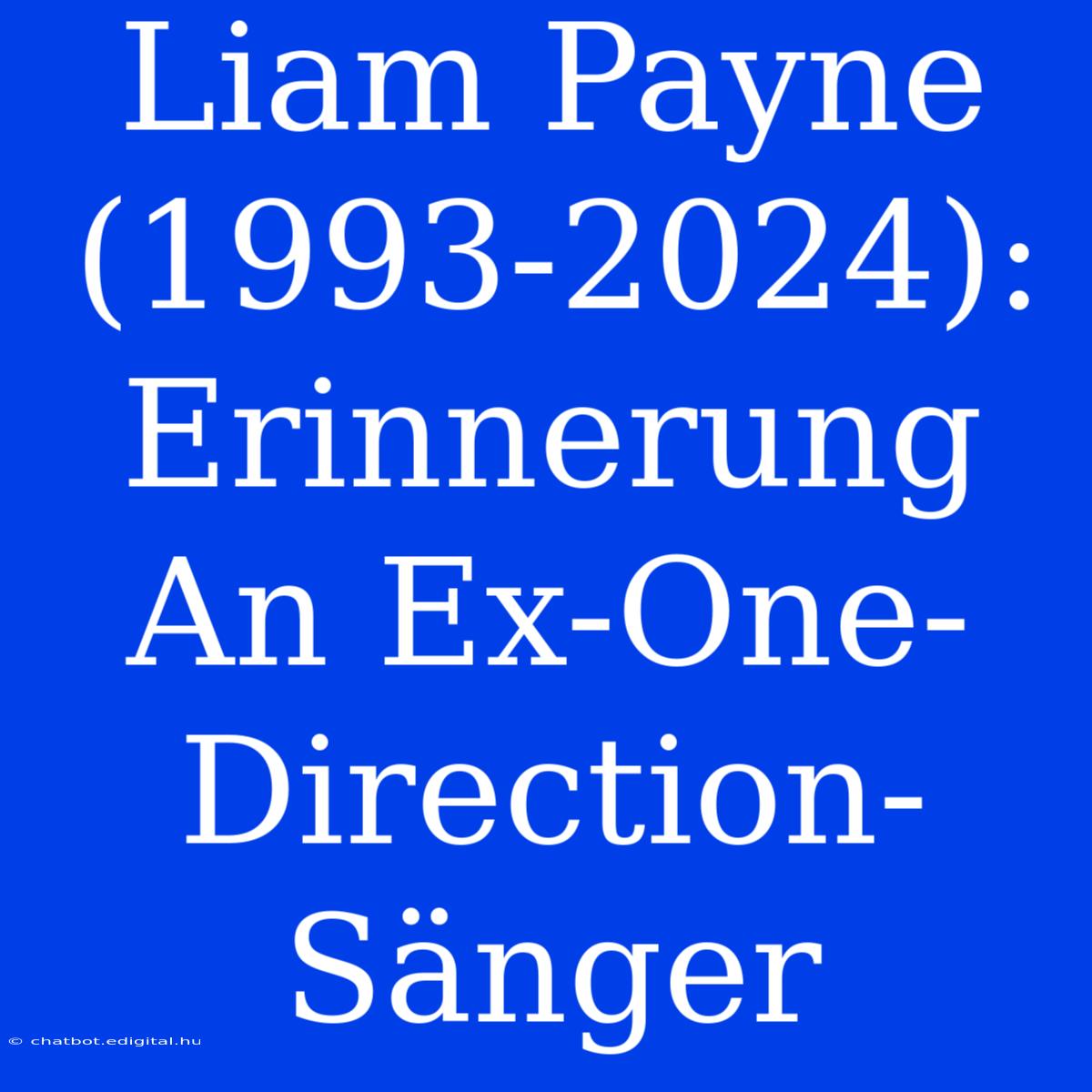 Liam Payne (1993-2024): Erinnerung An Ex-One-Direction-Sänger 