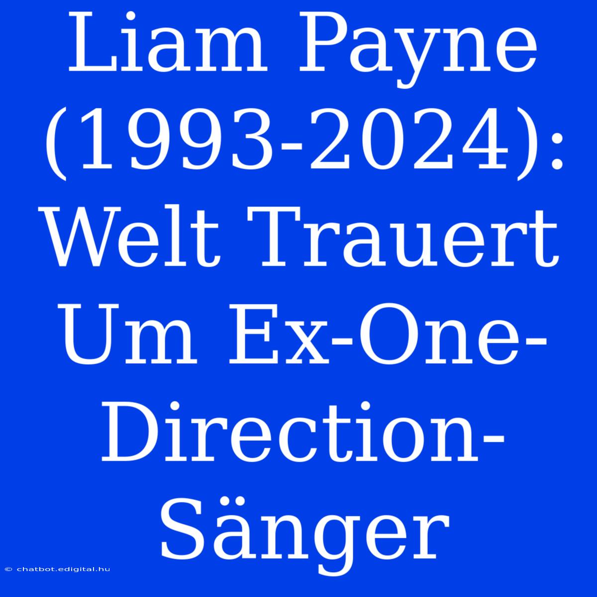 Liam Payne (1993-2024): Welt Trauert Um Ex-One-Direction-Sänger