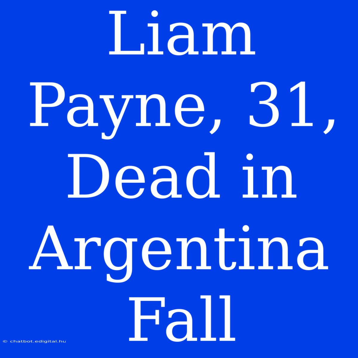 Liam Payne, 31, Dead In Argentina Fall