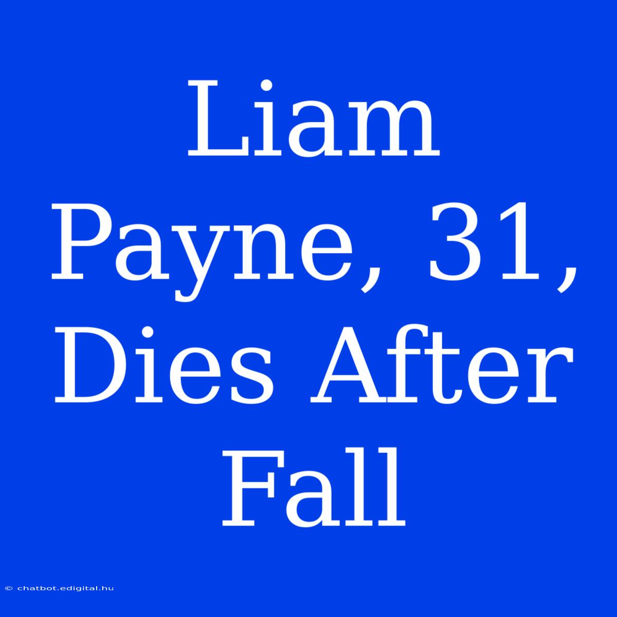 Liam Payne, 31, Dies After Fall