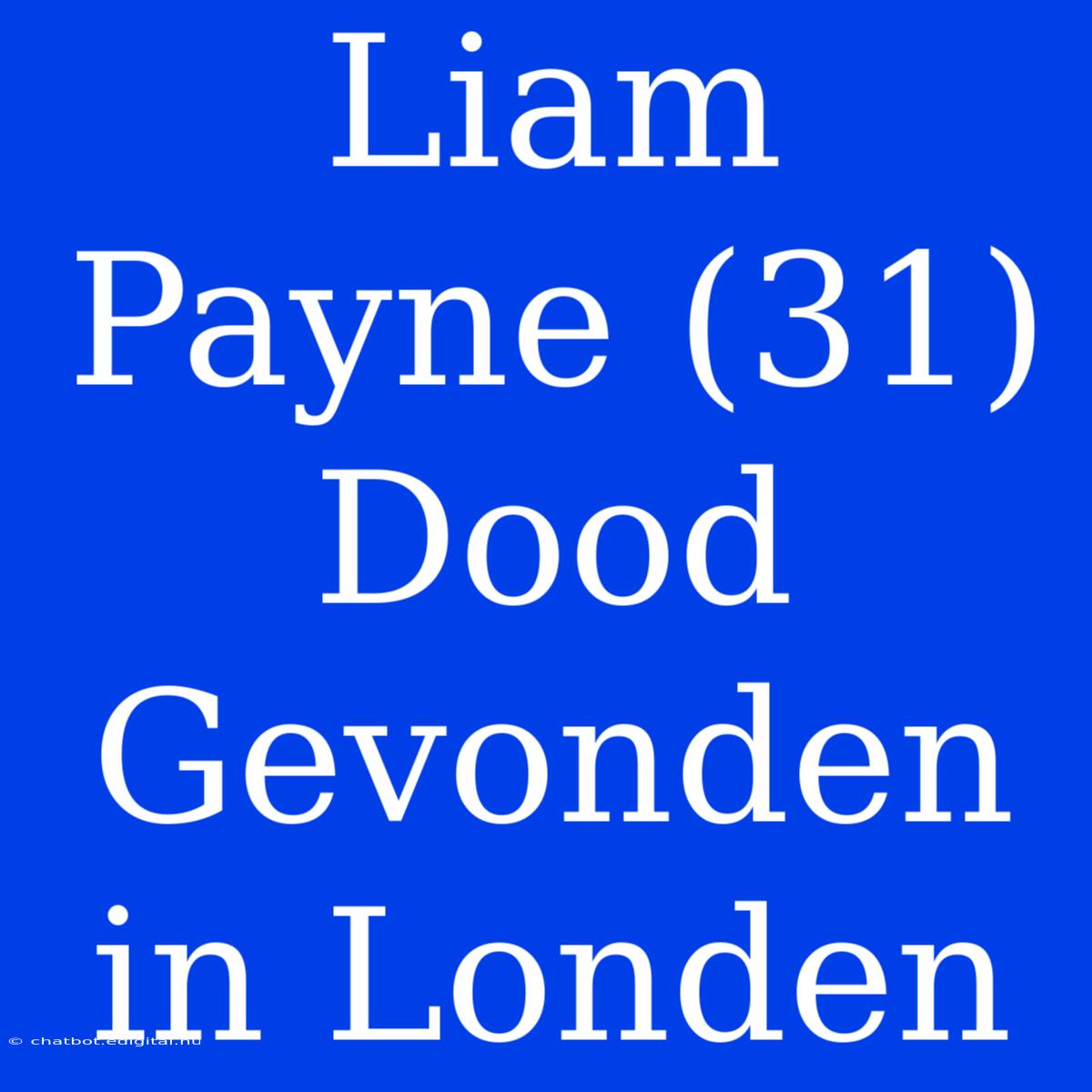 Liam Payne (31) Dood Gevonden In Londen