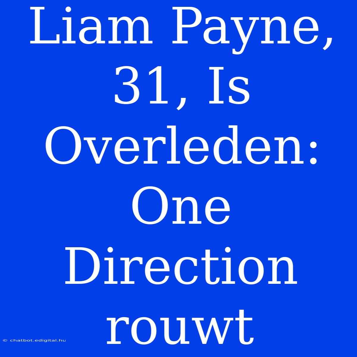 Liam Payne, 31, Is Overleden: One Direction Rouwt