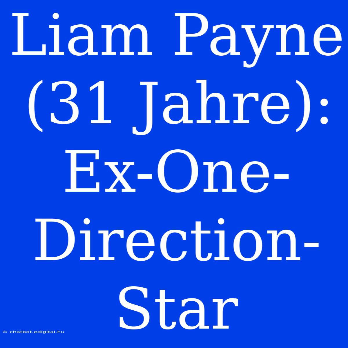 Liam Payne (31 Jahre): Ex-One-Direction-Star