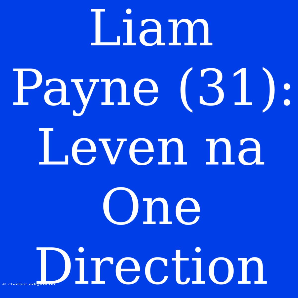 Liam Payne (31): Leven Na One Direction