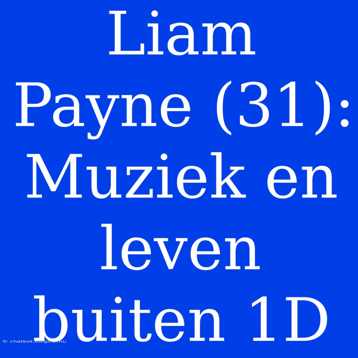 Liam Payne (31): Muziek En Leven Buiten 1D