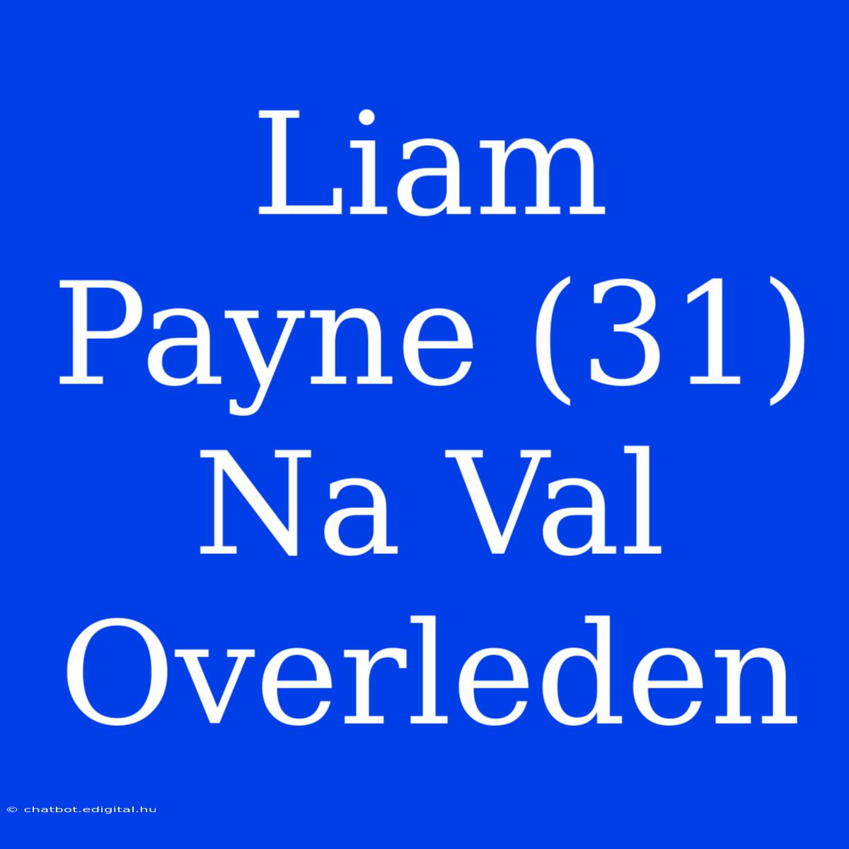 Liam Payne (31) Na Val Overleden 