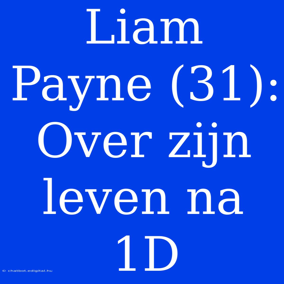 Liam Payne (31): Over Zijn Leven Na 1D