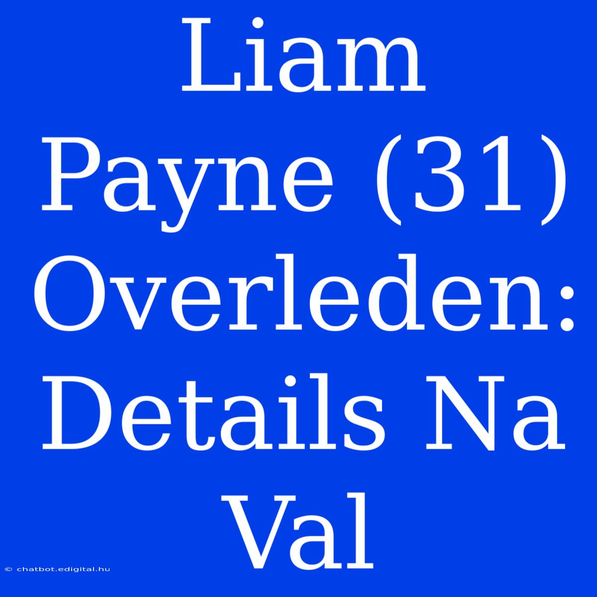 Liam Payne (31) Overleden: Details Na Val