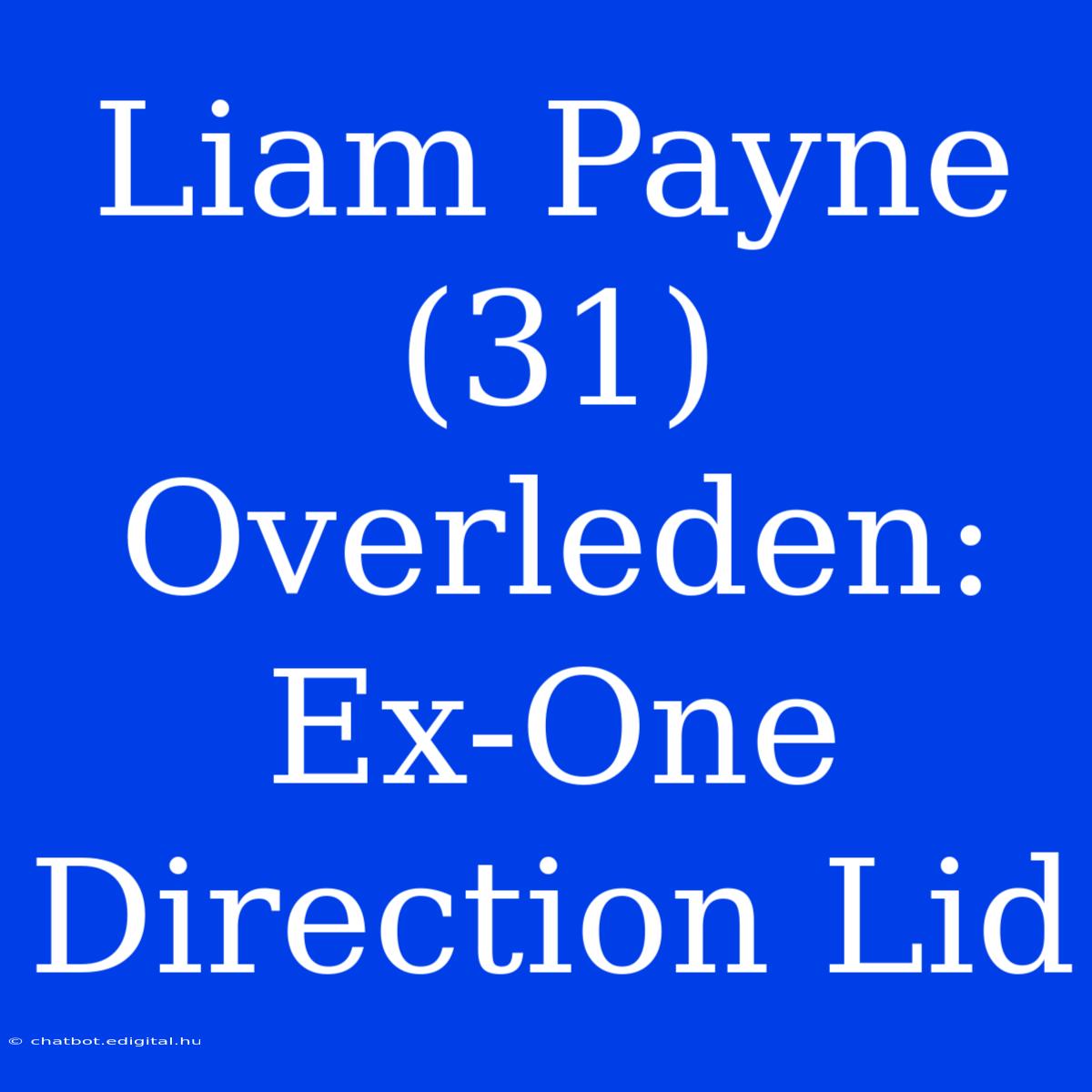 Liam Payne (31) Overleden: Ex-One Direction Lid