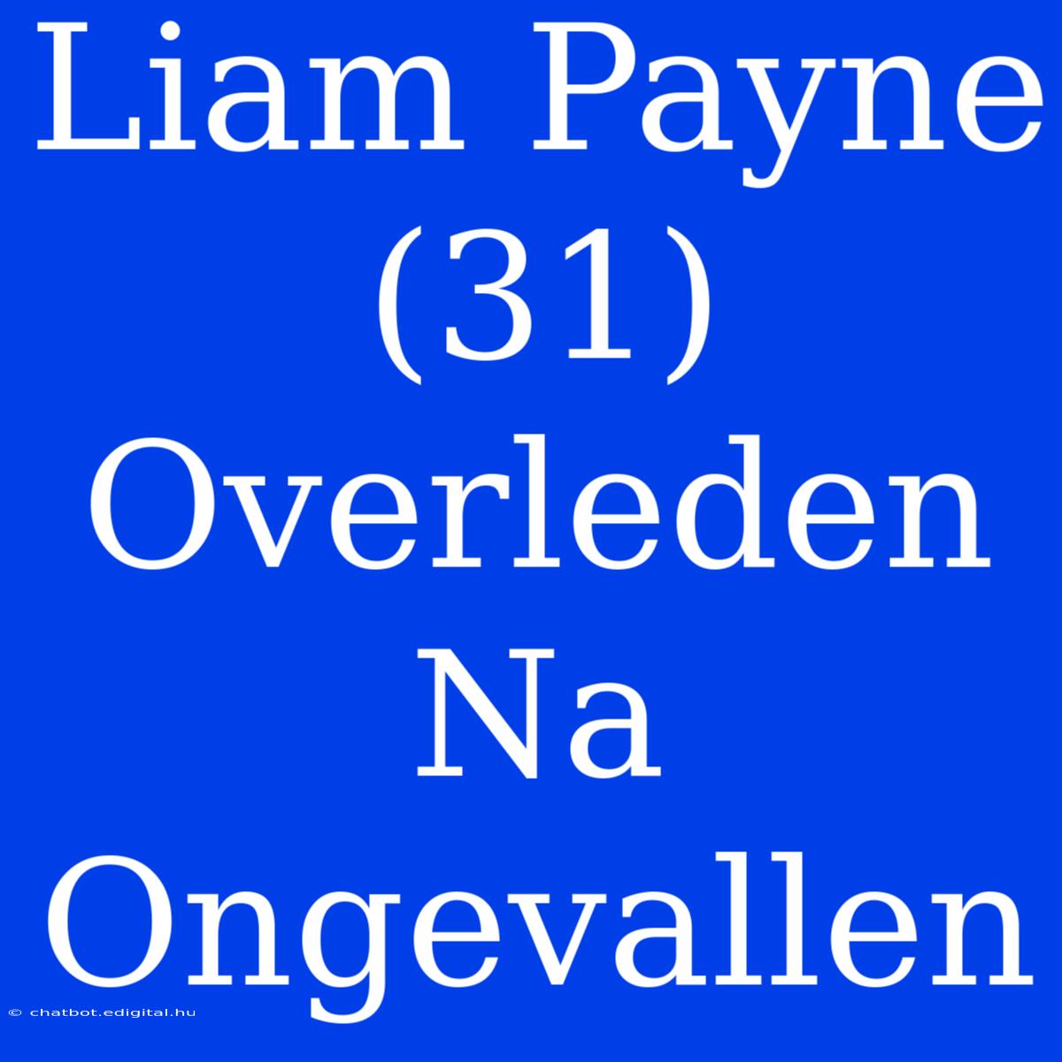 Liam Payne (31) Overleden Na Ongevallen