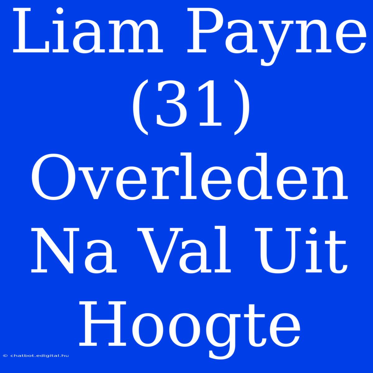 Liam Payne (31) Overleden Na Val Uit Hoogte