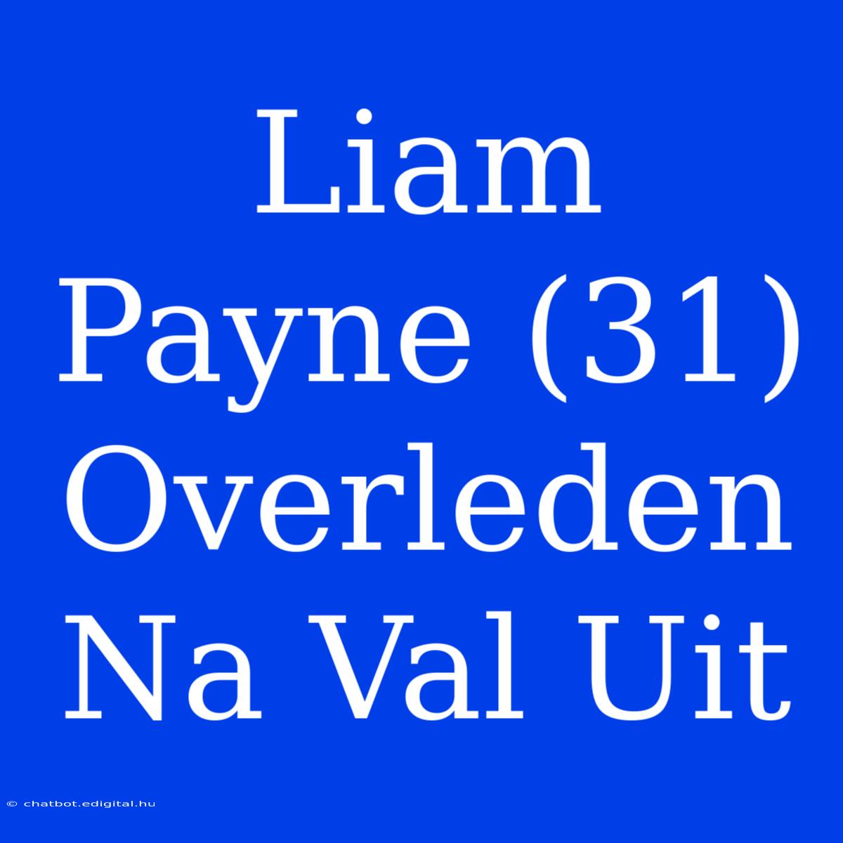 Liam Payne (31) Overleden Na Val Uit