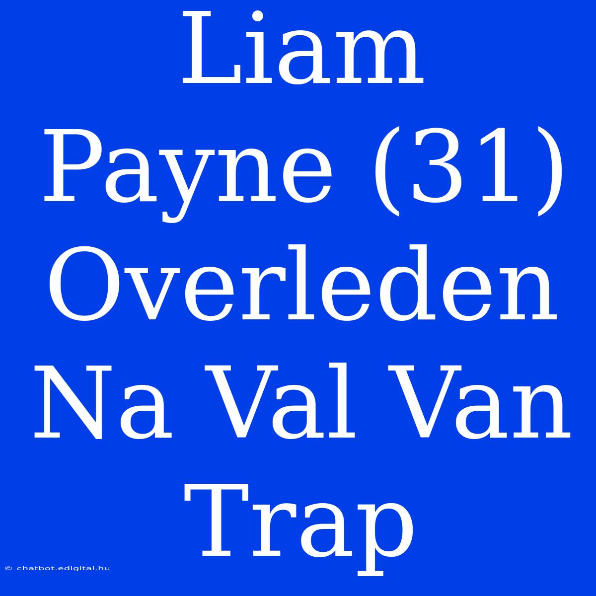 Liam Payne (31) Overleden Na Val Van Trap