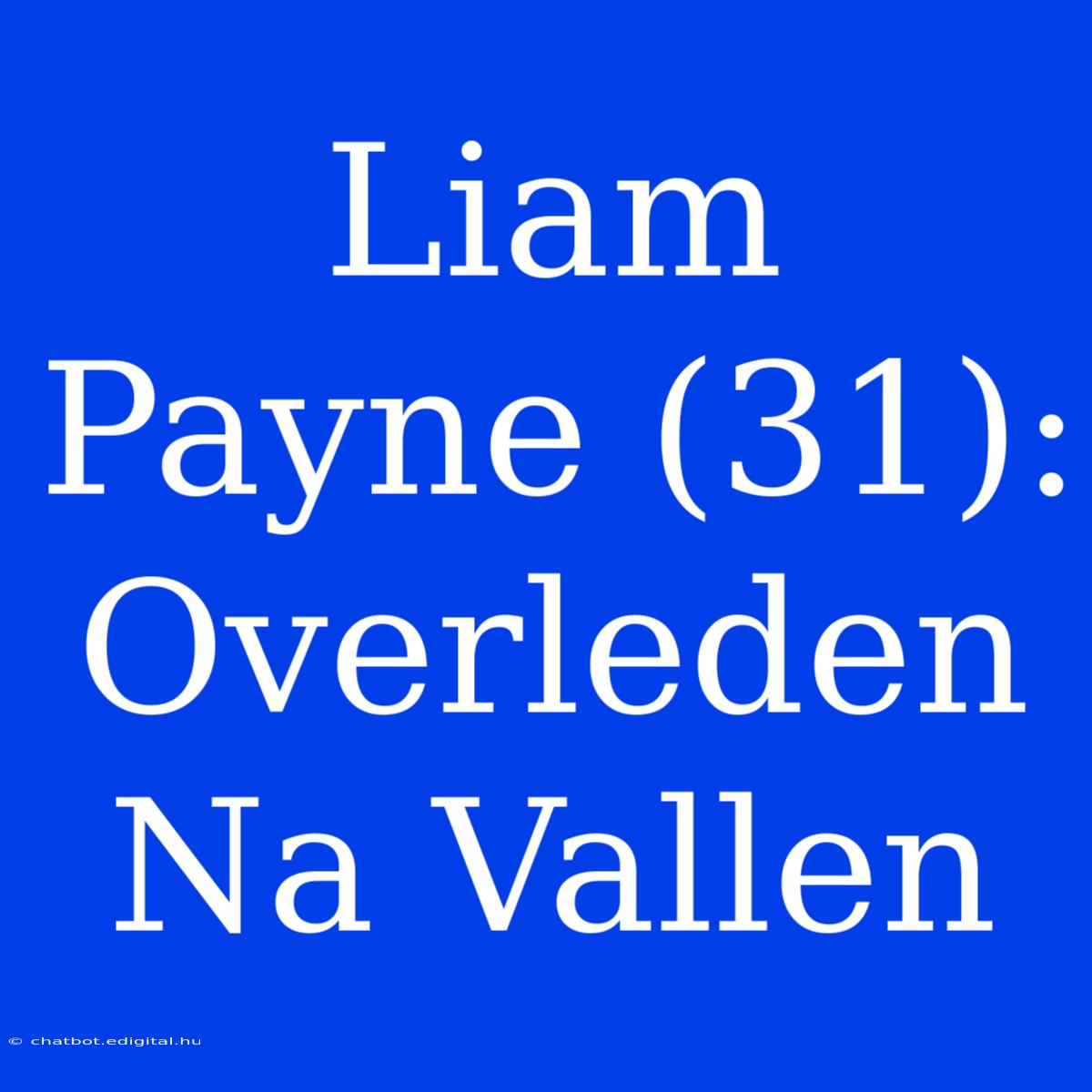 Liam Payne (31): Overleden Na Vallen