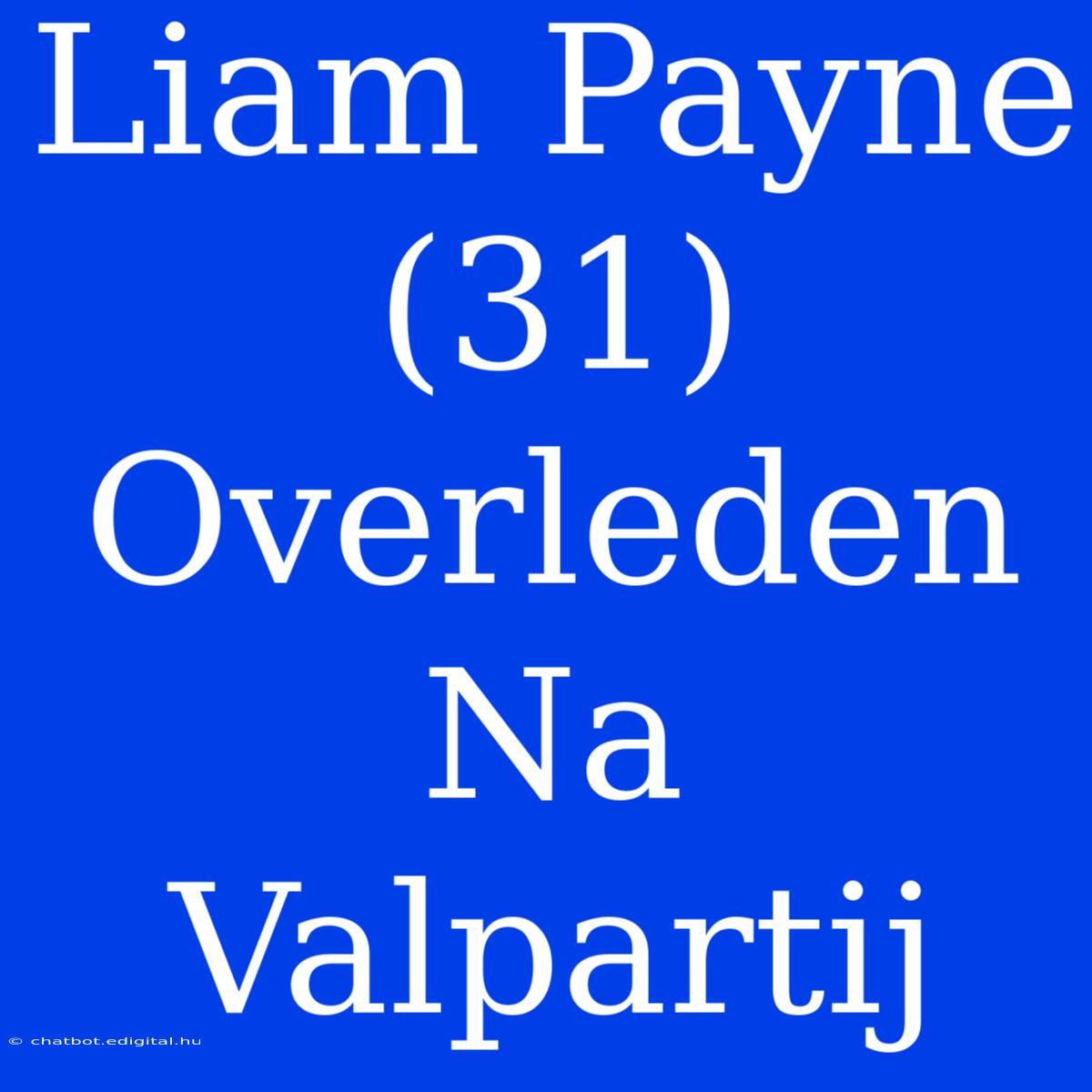 Liam Payne (31) Overleden Na Valpartij