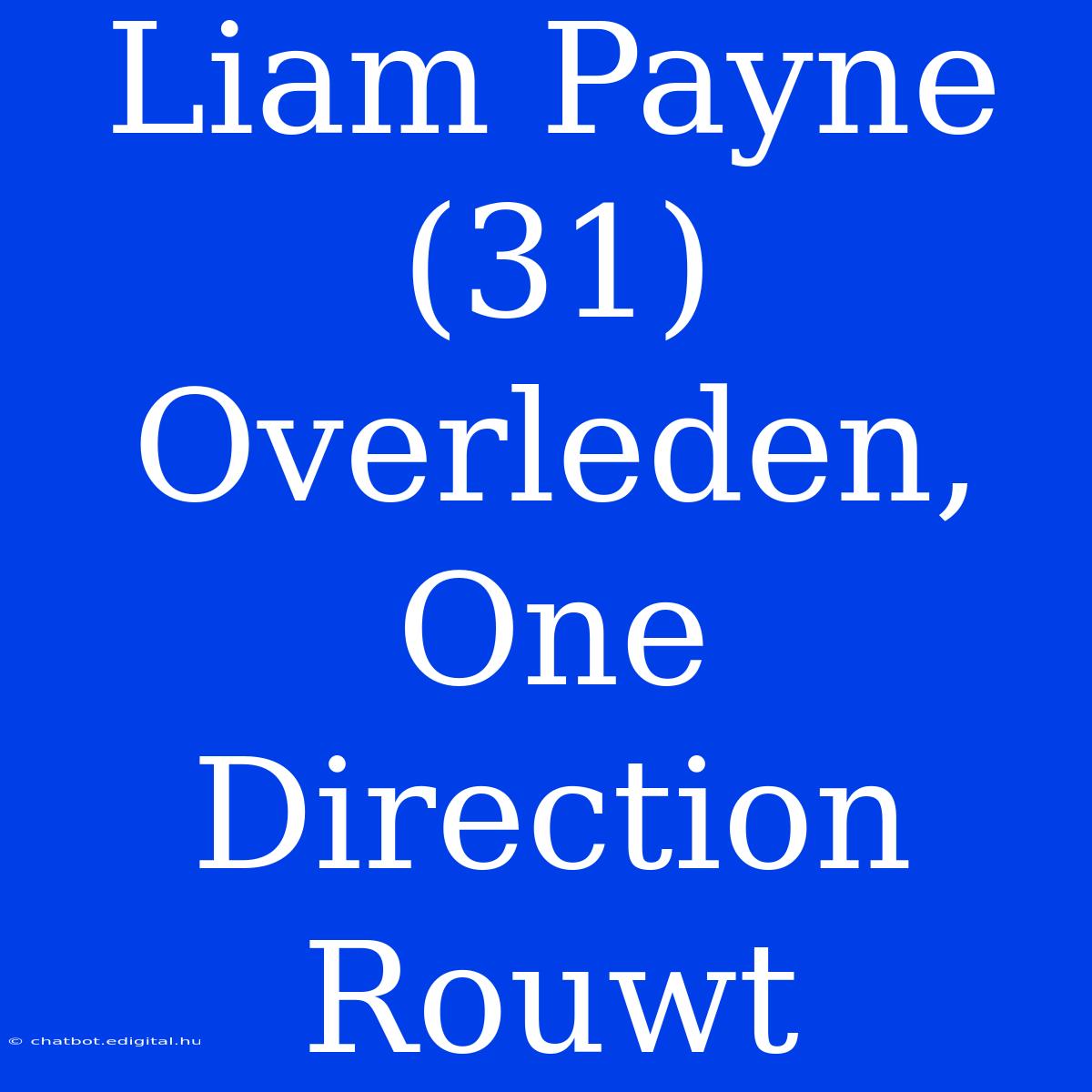 Liam Payne (31) Overleden, One Direction Rouwt 