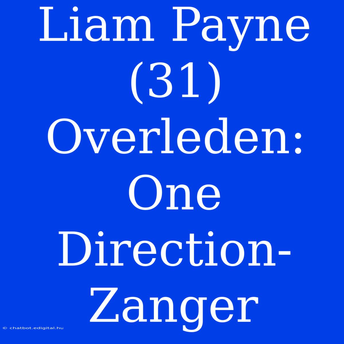 Liam Payne (31) Overleden: One Direction-Zanger