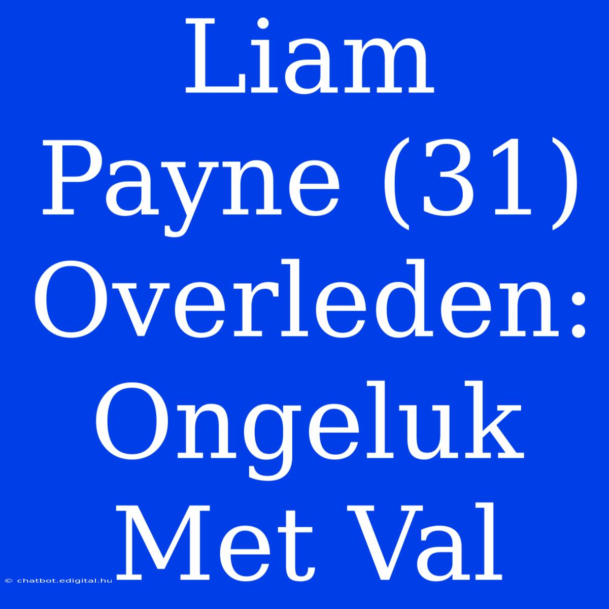 Liam Payne (31) Overleden: Ongeluk Met Val