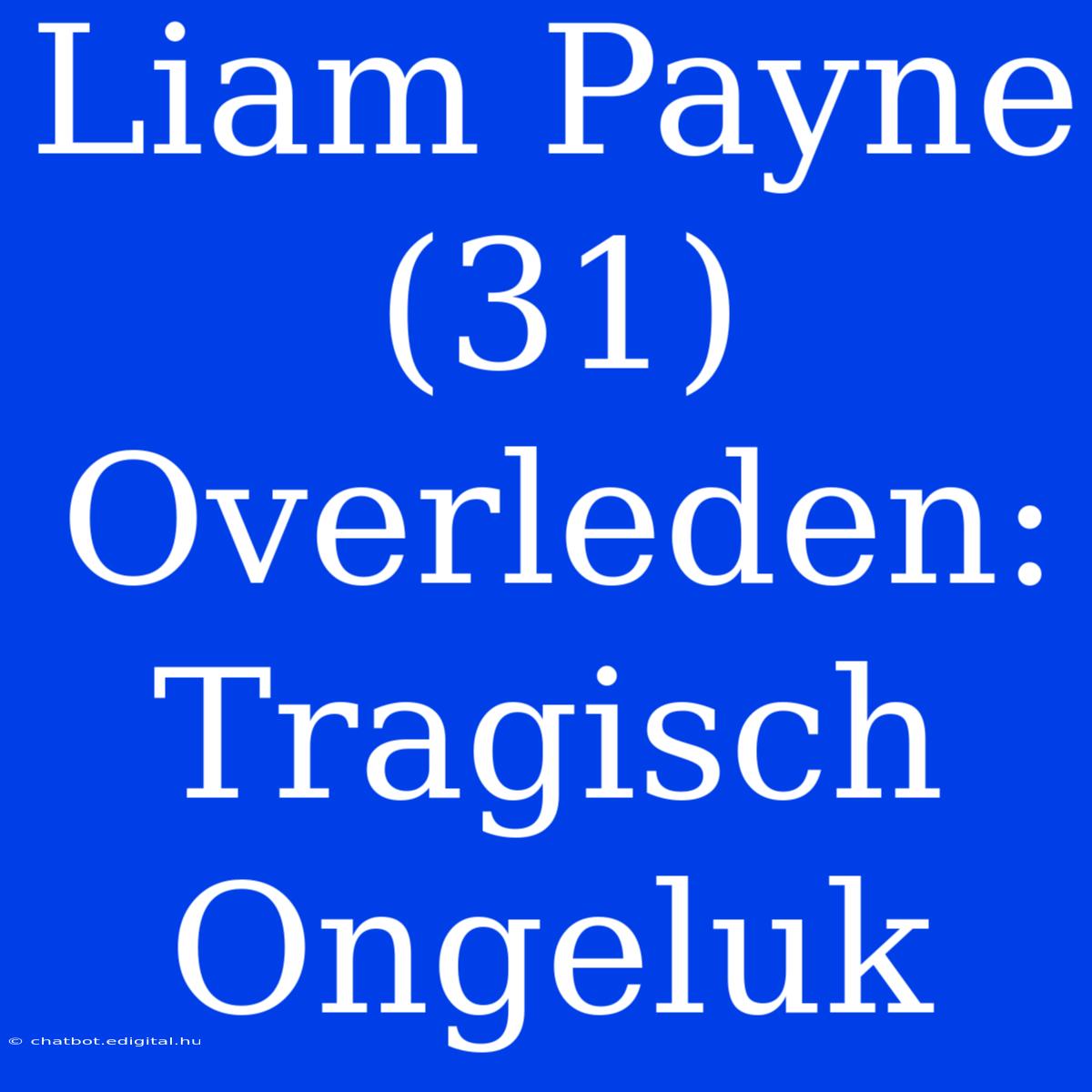 Liam Payne (31) Overleden: Tragisch Ongeluk