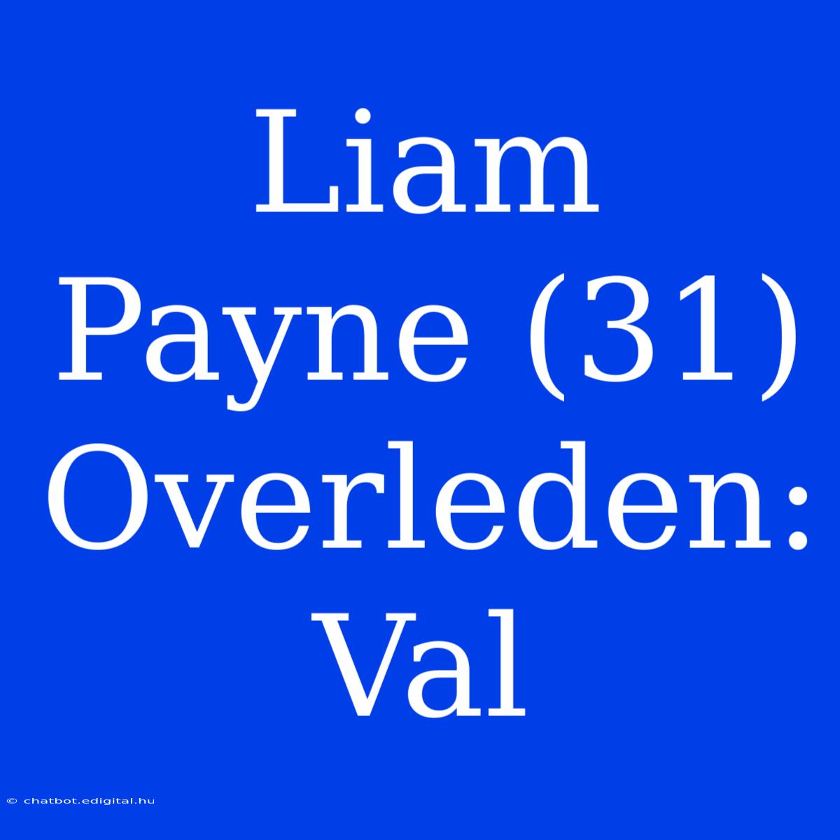 Liam Payne (31) Overleden: Val