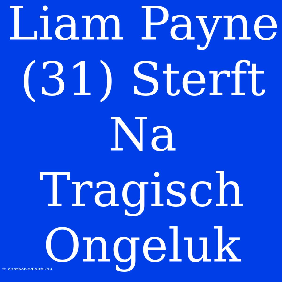 Liam Payne (31) Sterft Na Tragisch Ongeluk