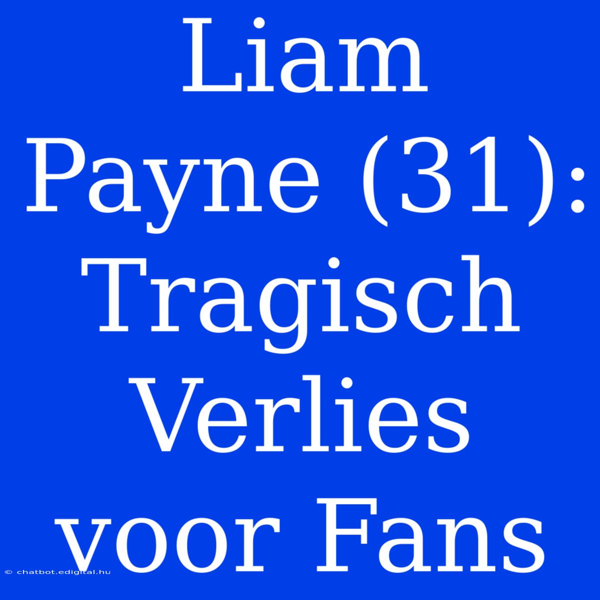 Liam Payne (31): Tragisch Verlies Voor Fans