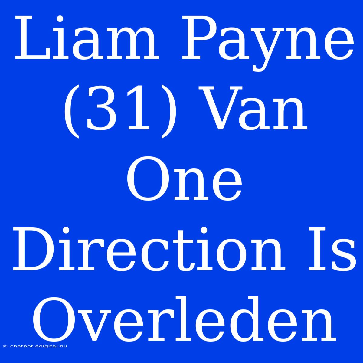 Liam Payne (31) Van One Direction Is Overleden 