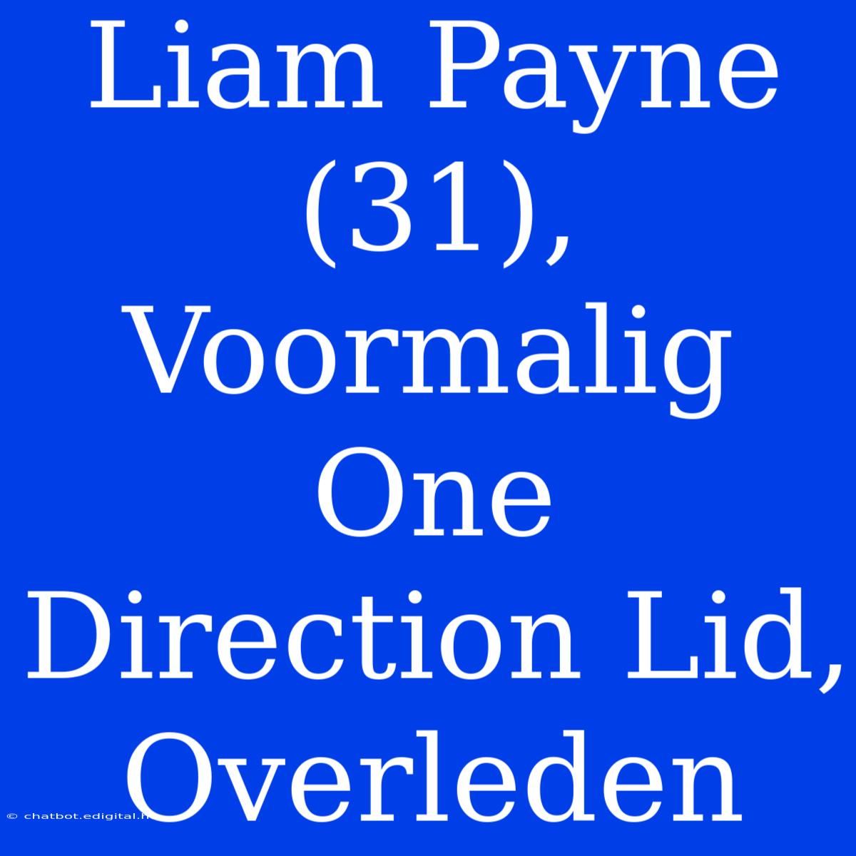 Liam Payne (31), Voormalig One Direction Lid, Overleden