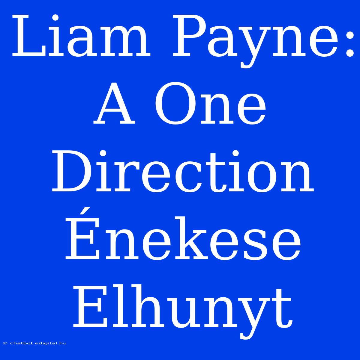 Liam Payne: A One Direction Énekese Elhunyt