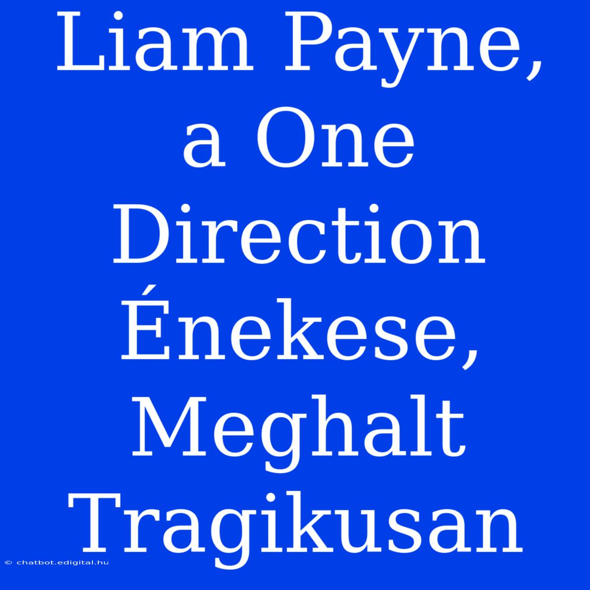 Liam Payne, A One Direction Énekese, Meghalt Tragikusan