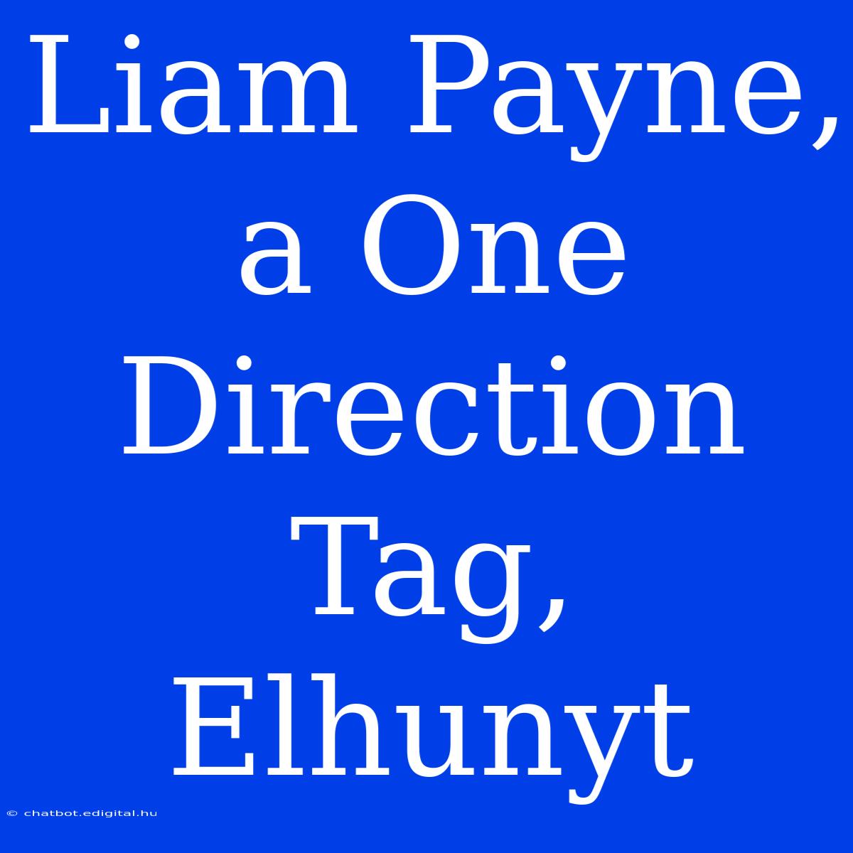 Liam Payne, A One Direction Tag, Elhunyt