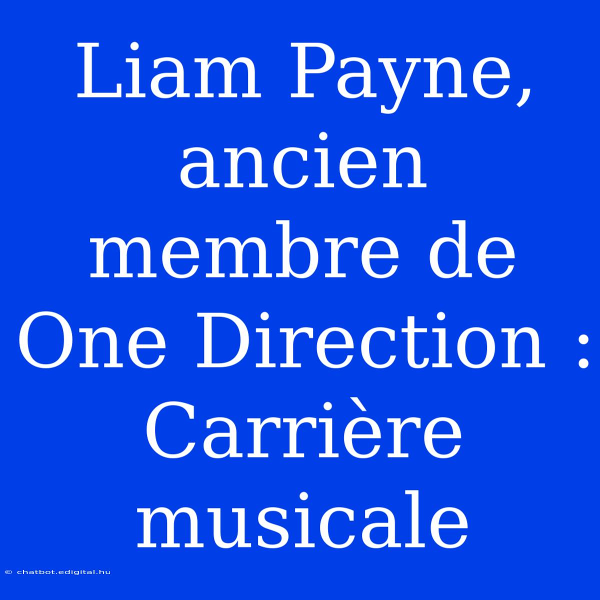 Liam Payne, Ancien Membre De One Direction : Carrière Musicale