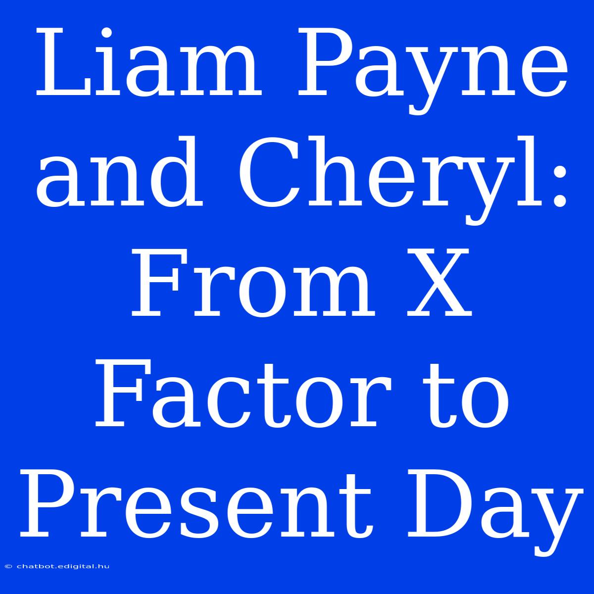 Liam Payne And Cheryl: From X Factor To Present Day 