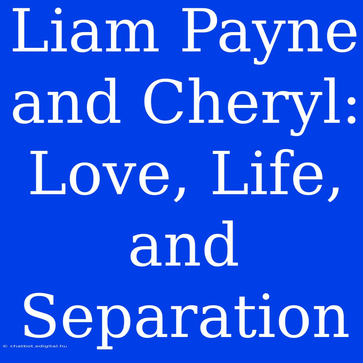 Liam Payne And Cheryl: Love, Life, And Separation 