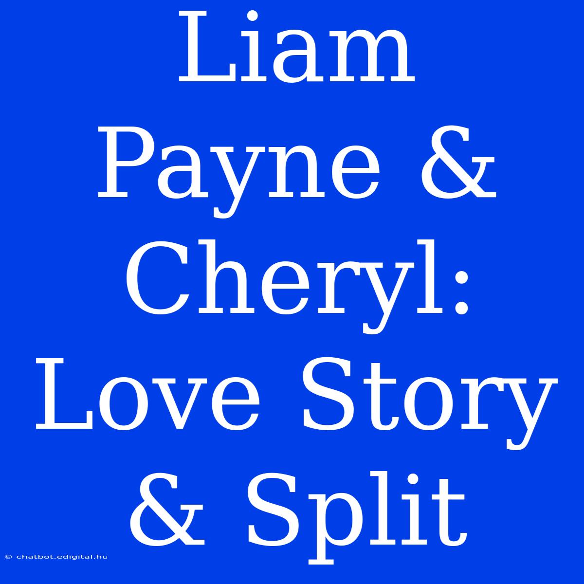 Liam Payne & Cheryl: Love Story & Split