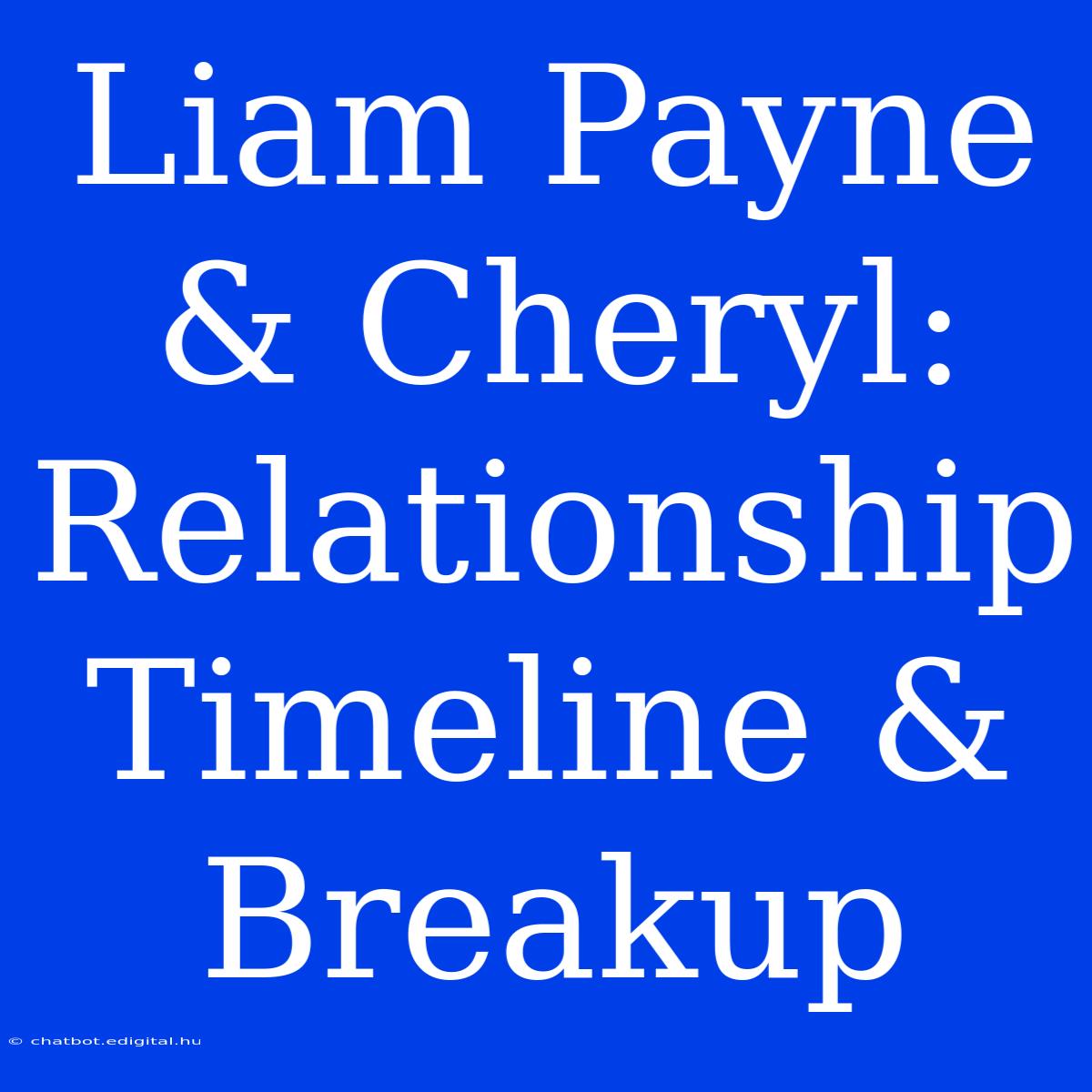 Liam Payne & Cheryl: Relationship Timeline & Breakup