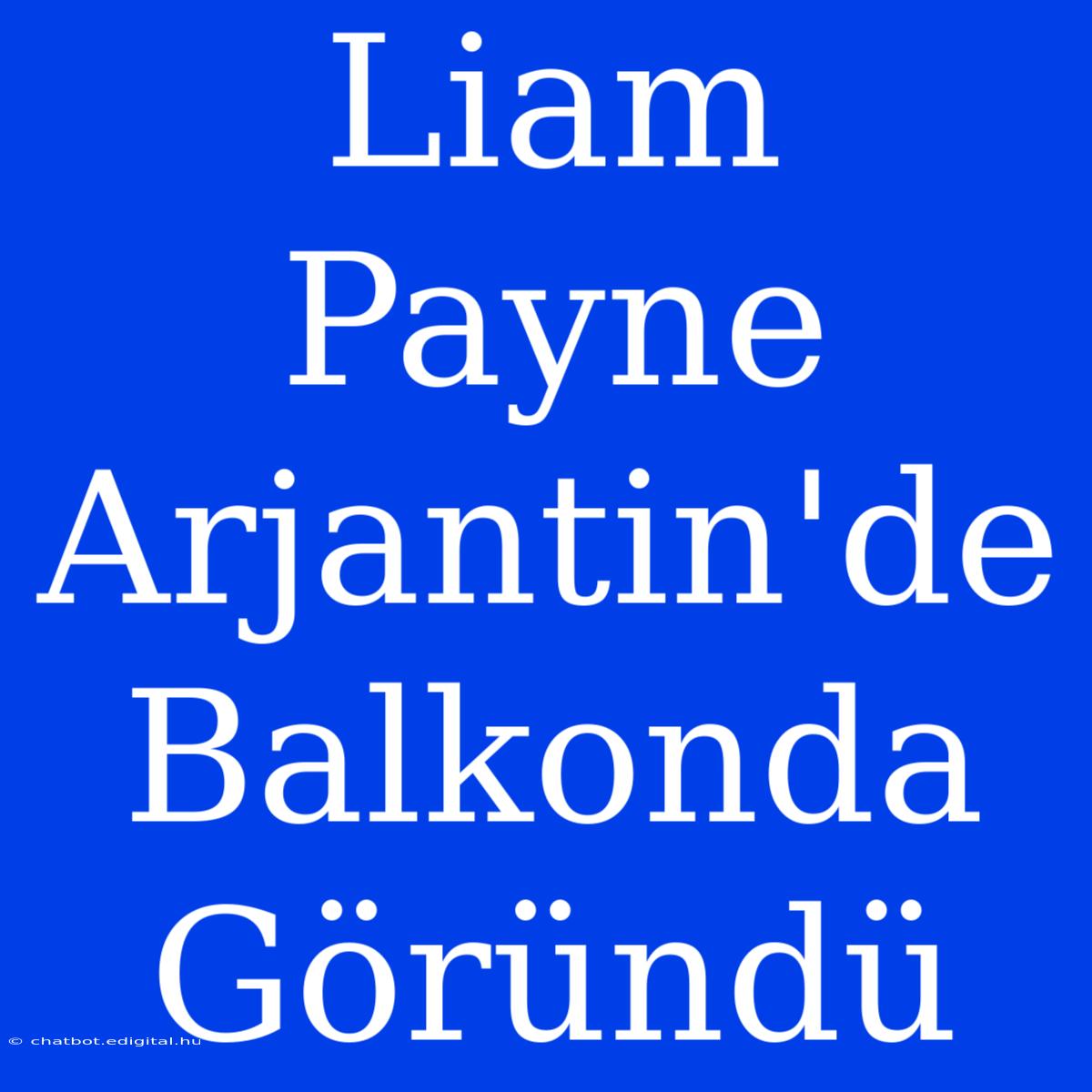 Liam Payne Arjantin'de Balkonda Göründü