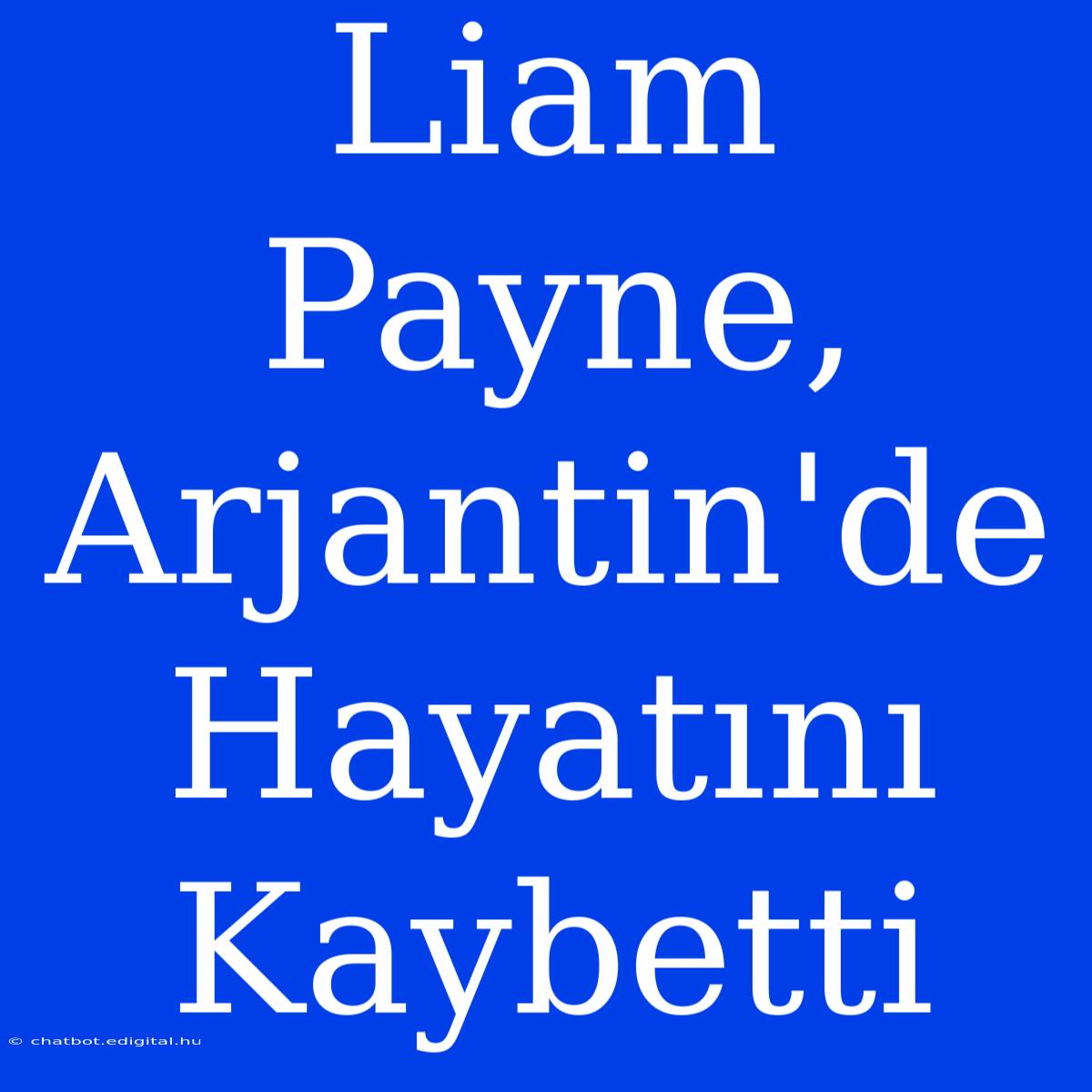 Liam Payne, Arjantin'de Hayatını Kaybetti