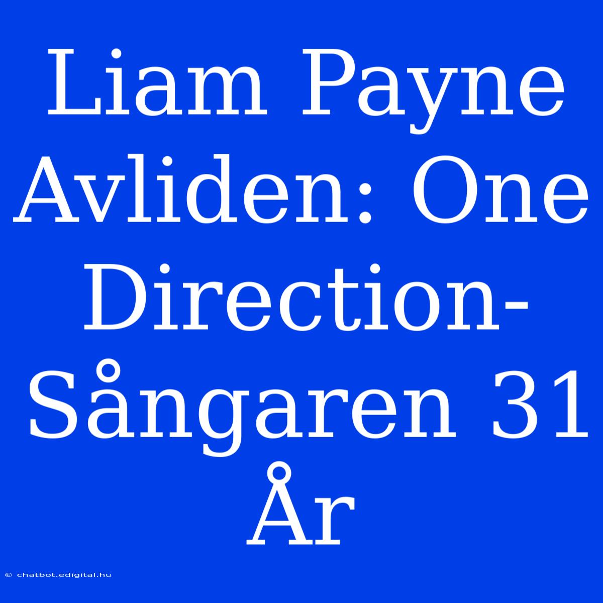 Liam Payne Avliden: One Direction-Sångaren 31 År